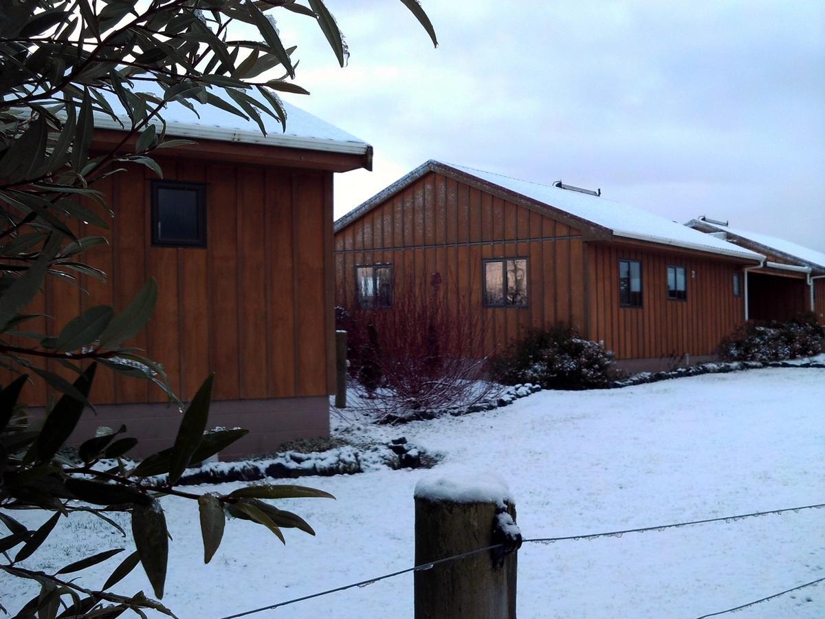 Longbourne Lodge Motel Mosgiel Kültér fotó